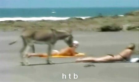 美しい女の子ホット取得彼女の尻ピンと張った 女 の ため の セックス 動画